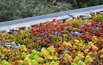 the cost of Sedgehill green roof installation