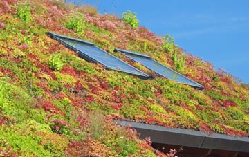 Sedgehill living roof systems